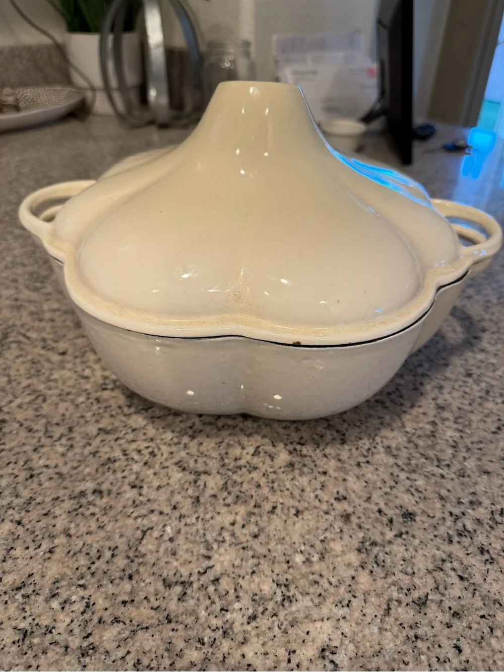 Real techniques, cast-iron, and ceramic white pumpkin Dutch oven